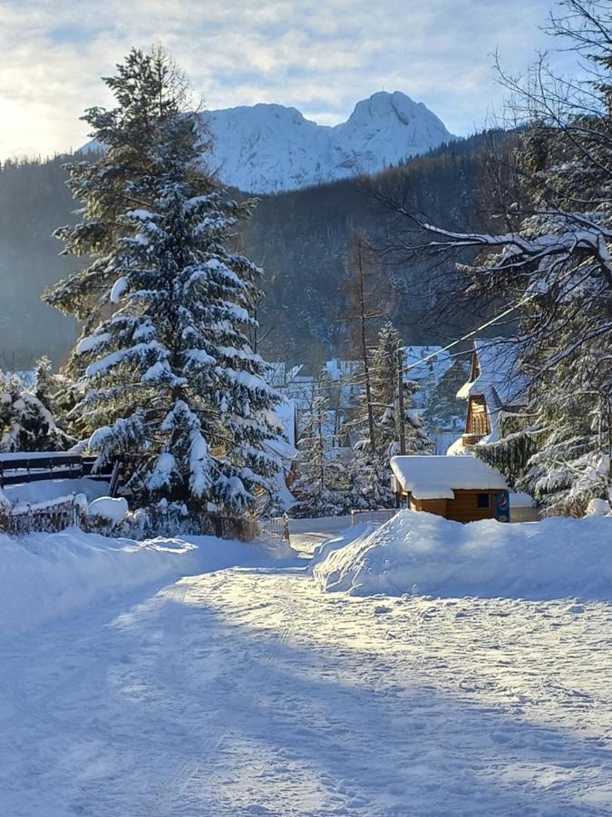 U Tylki Studio Z Widokiem Na Gory Zakopane Esterno foto