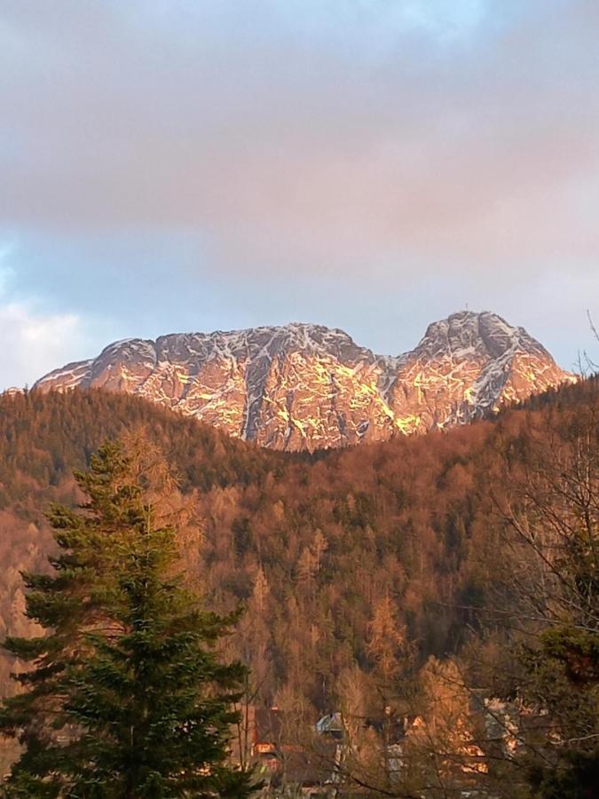 U Tylki Studio Z Widokiem Na Gory Zakopane Esterno foto