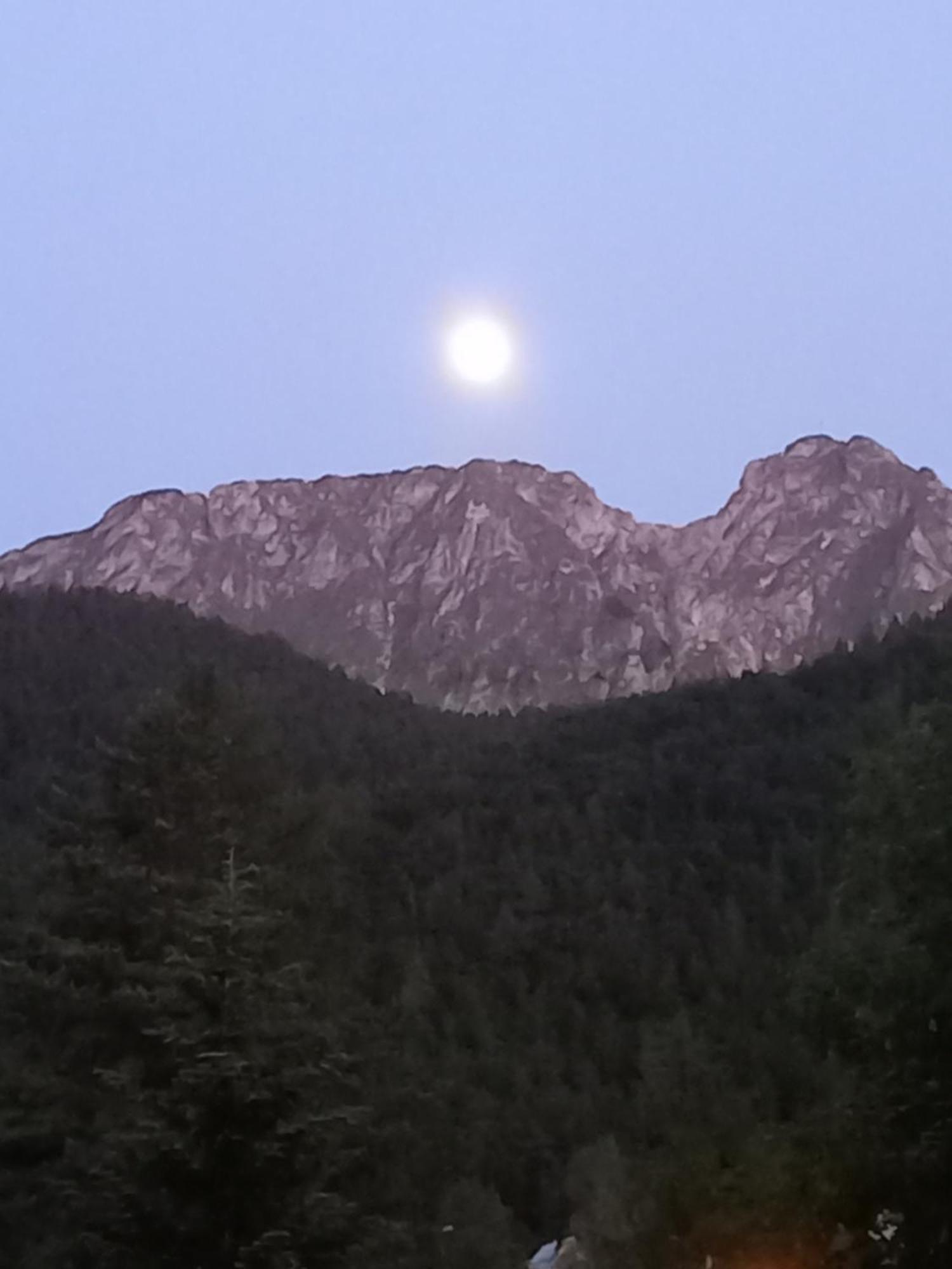 U Tylki Studio Z Widokiem Na Gory Zakopane Esterno foto